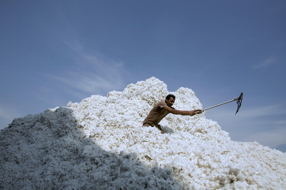 Indian Cotton